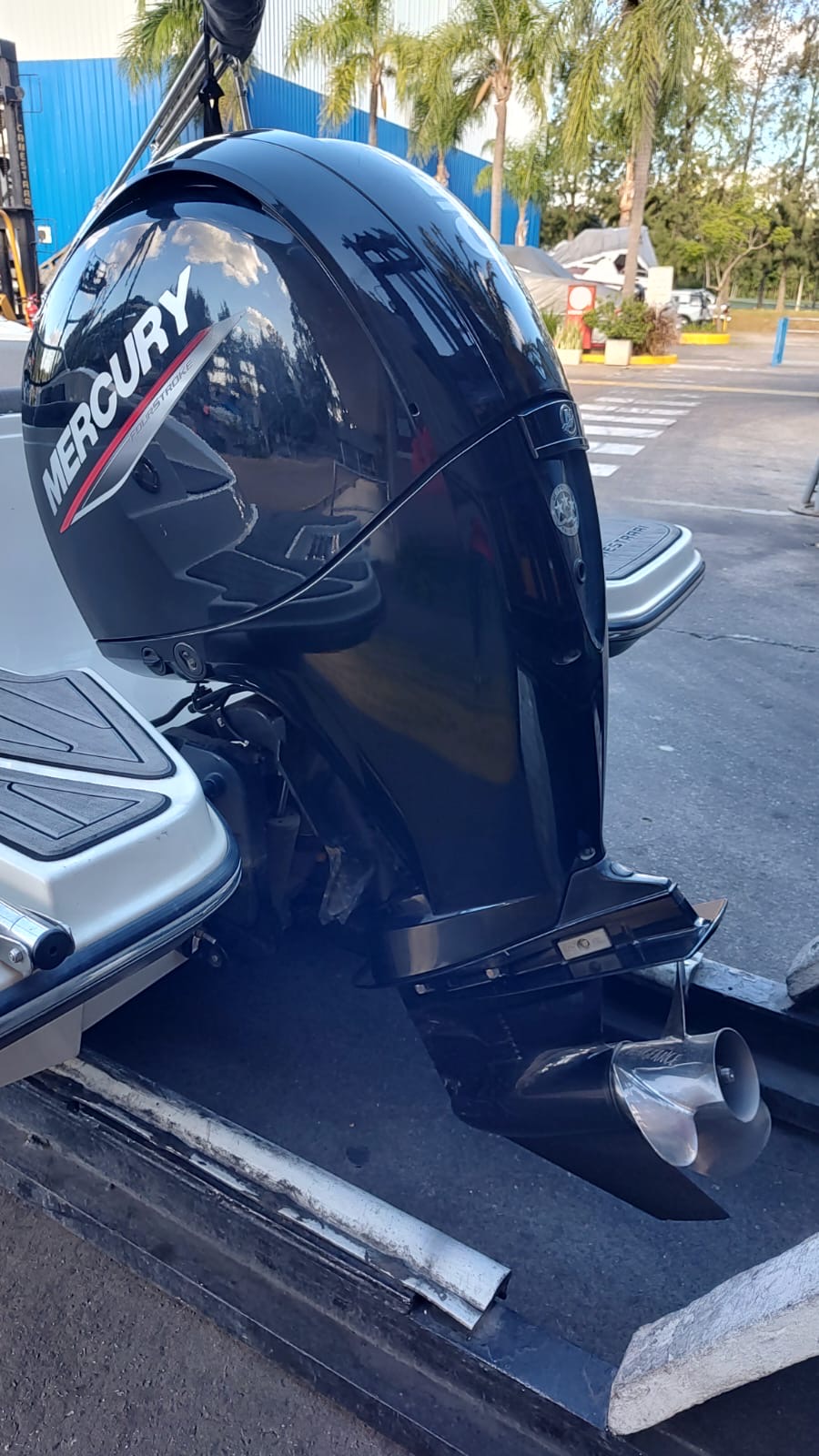 Canestrari 208 open 2022 Mercury 150 hp 
